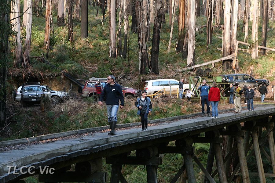 04-Two Dogs, Steve & Tom on the bridge.JPG